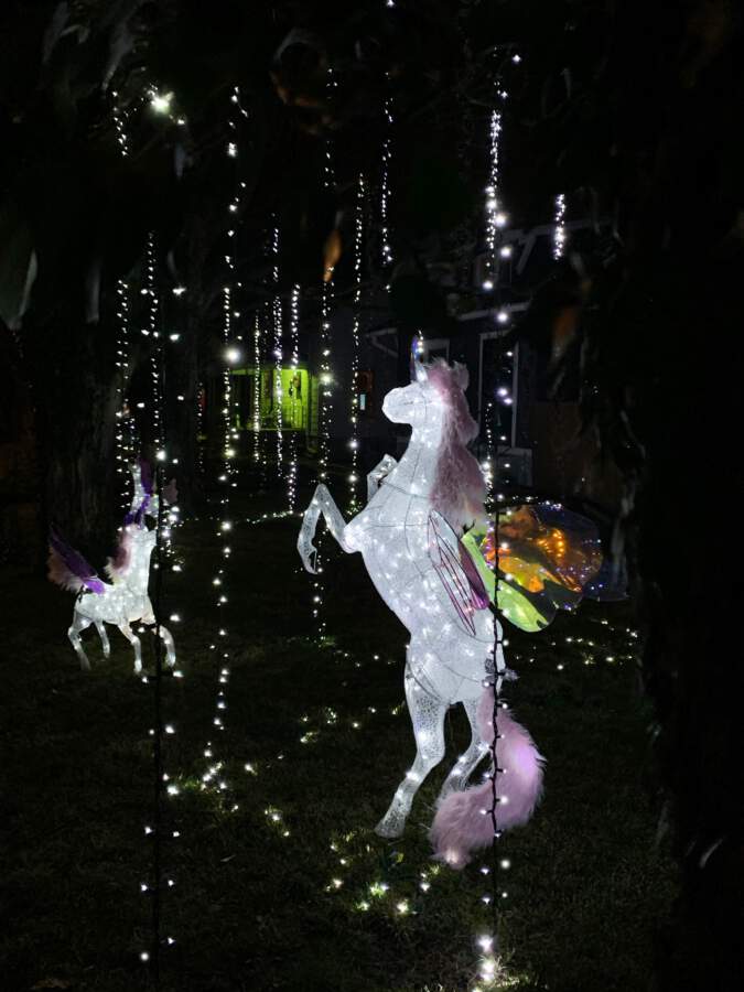 Theft of Unicorn from Belmont Light Display | Dayton937