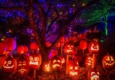 Roadtrip: Jack O’ Lantern Glow at The Cincinnati Zoo