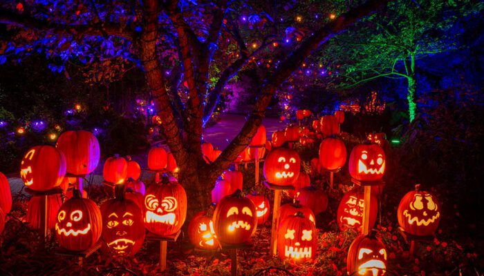 Roadtrip: Jack O’ Lantern Glow at The Cincinnati Zoo